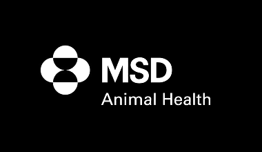 MSD logo